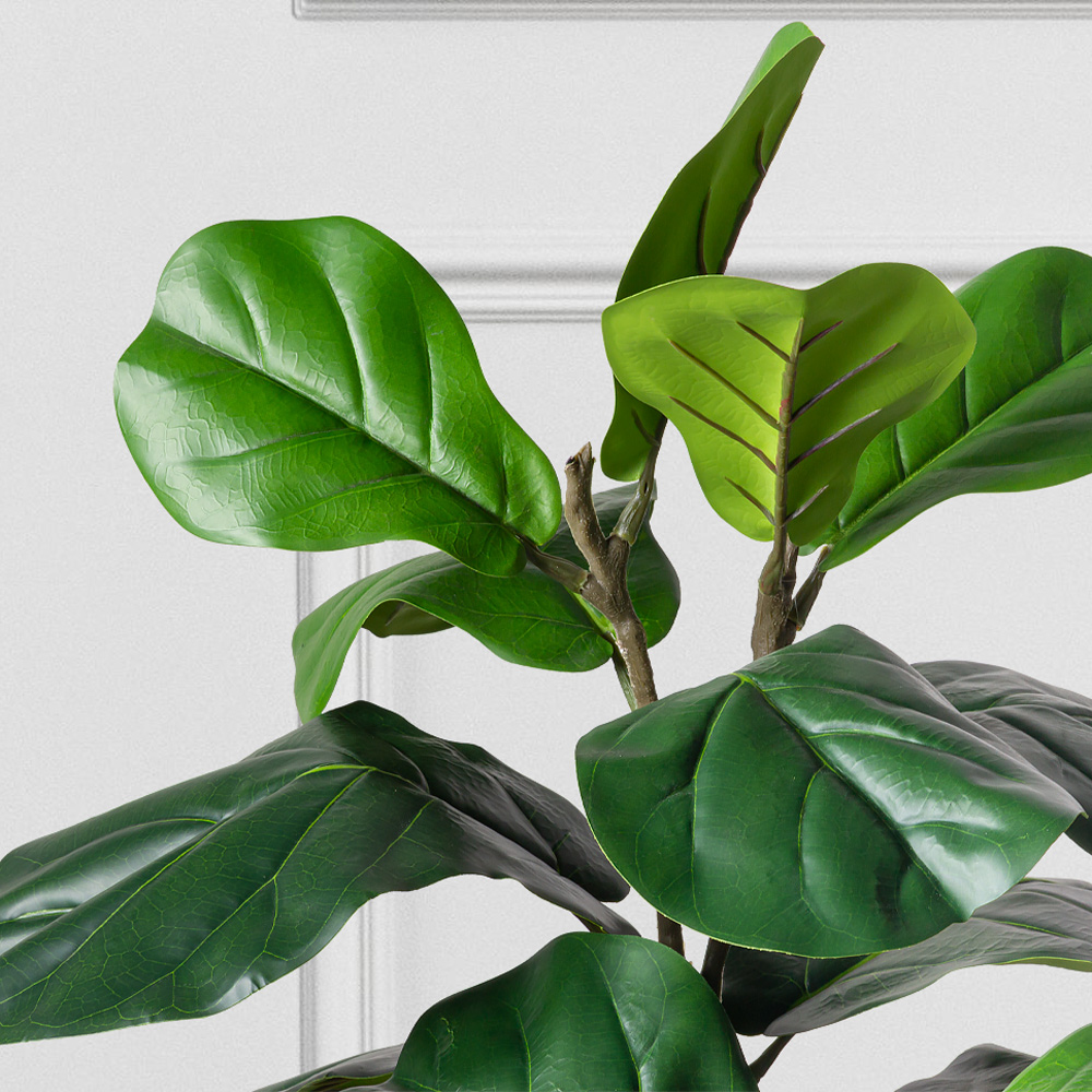 150/К/499 Фикус Лирата искусственный h150см_4