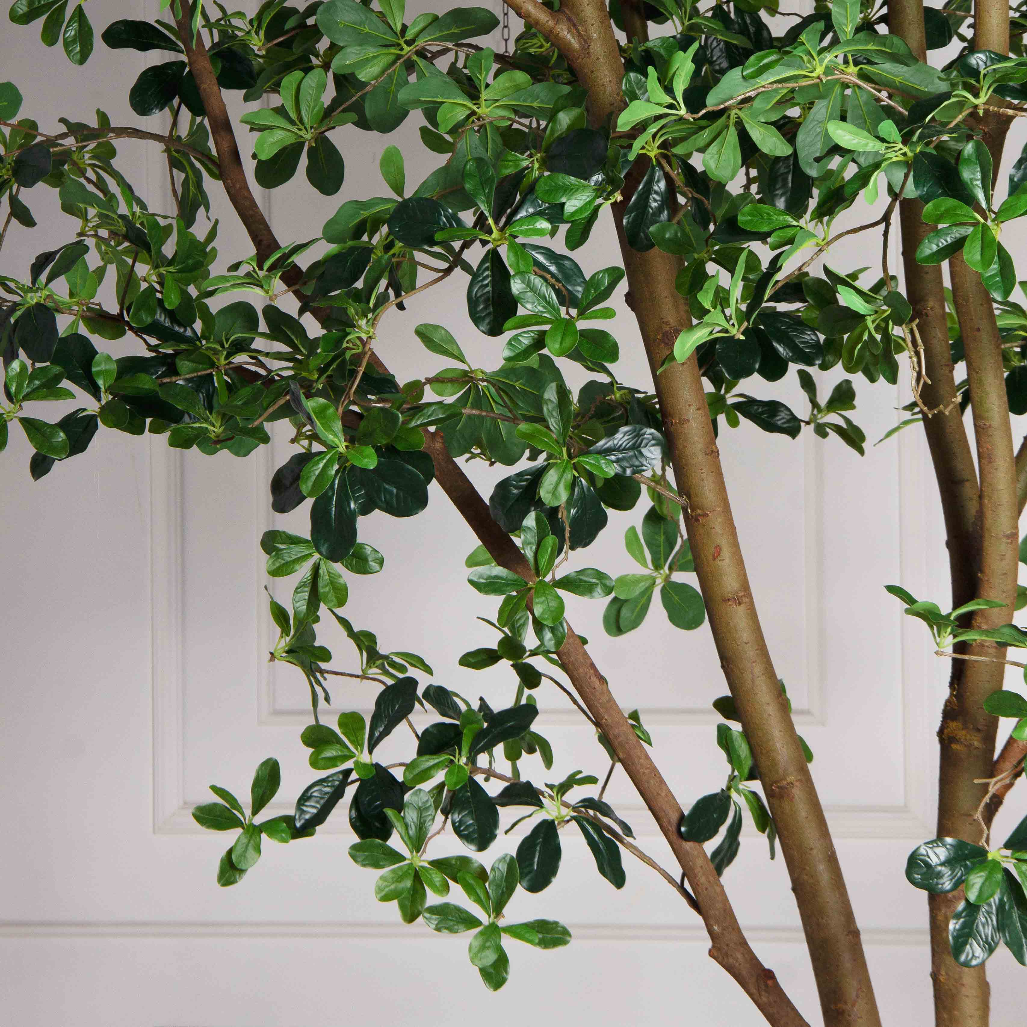 340/РН/84-1(з/УУ)(Пр)(F) Шеффлера искусственная h340см_4