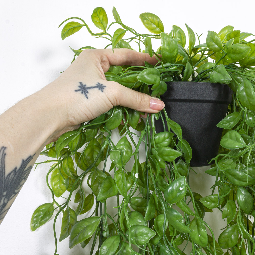 КС95 Традесканция Веридос ампельная в кашпо_8