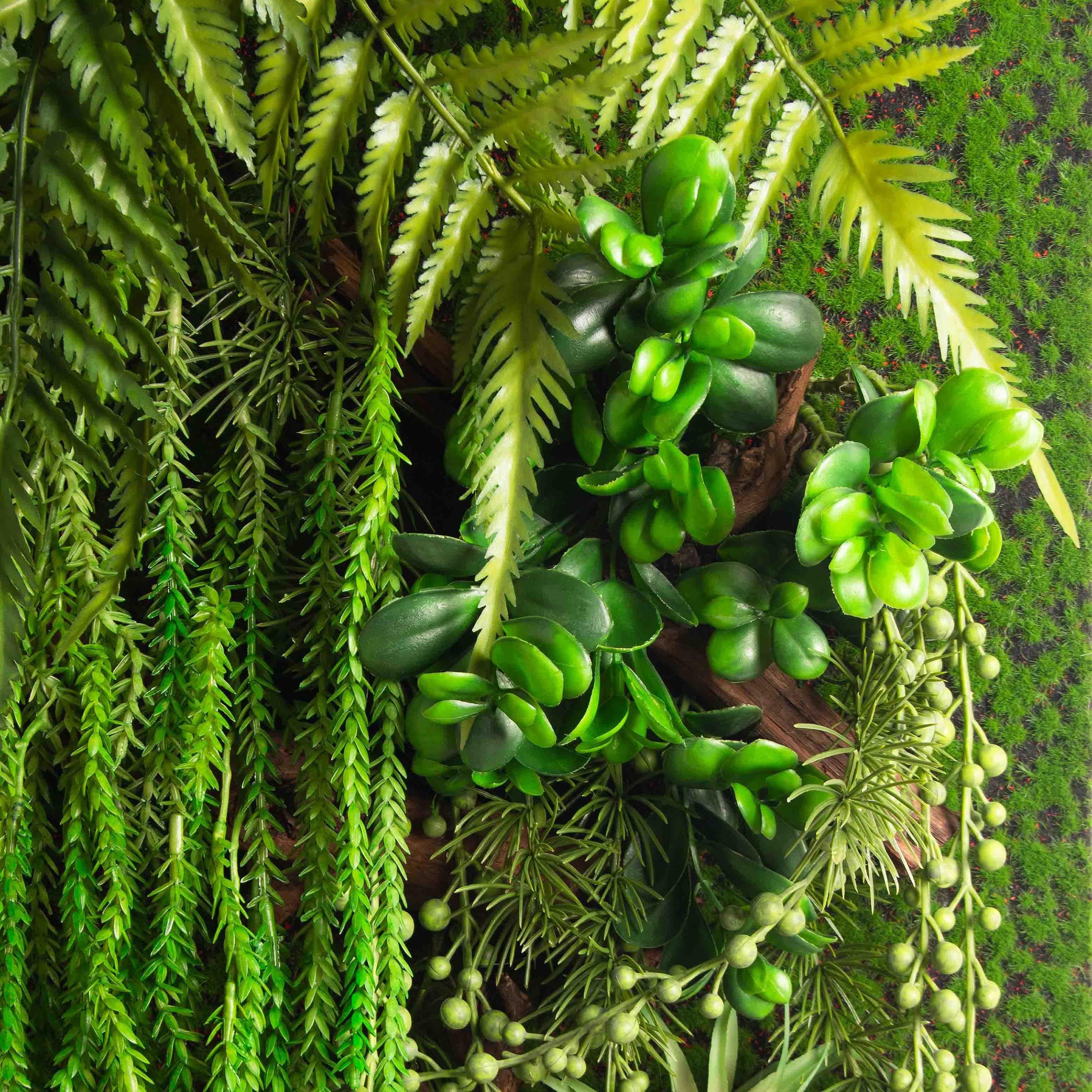 ФК03(з.)(F) Фитокартина с Эхеверией (44х h105см)_3