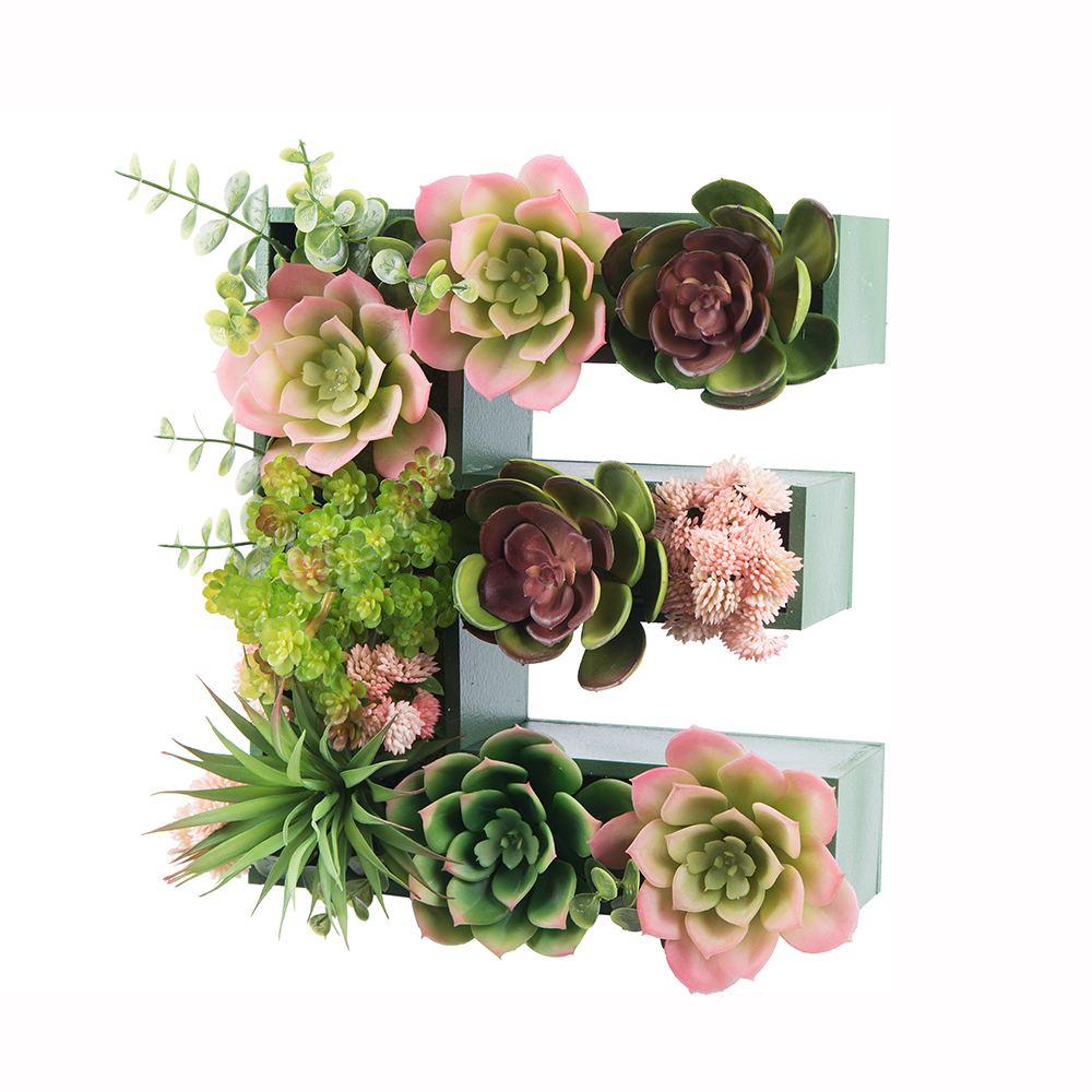 Логотип EUROMED KIDS с суккулентами (300*h27см)_5