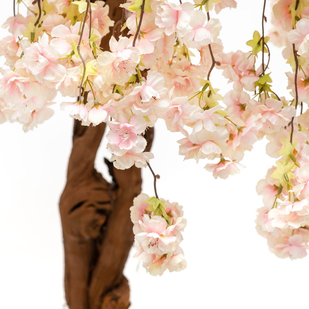 180/2К/ОС/191-2 Сакура королевская (белая)180см_2