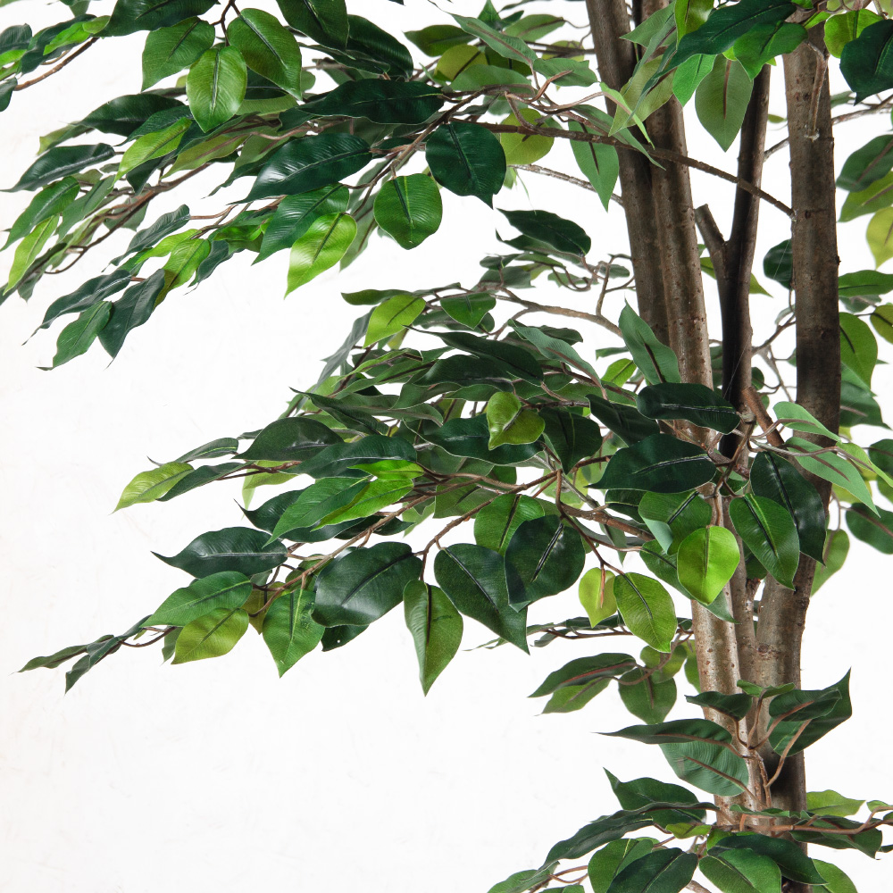 320/РН/34-2(F) Фикус искусственный h320см (3 ствола)_5