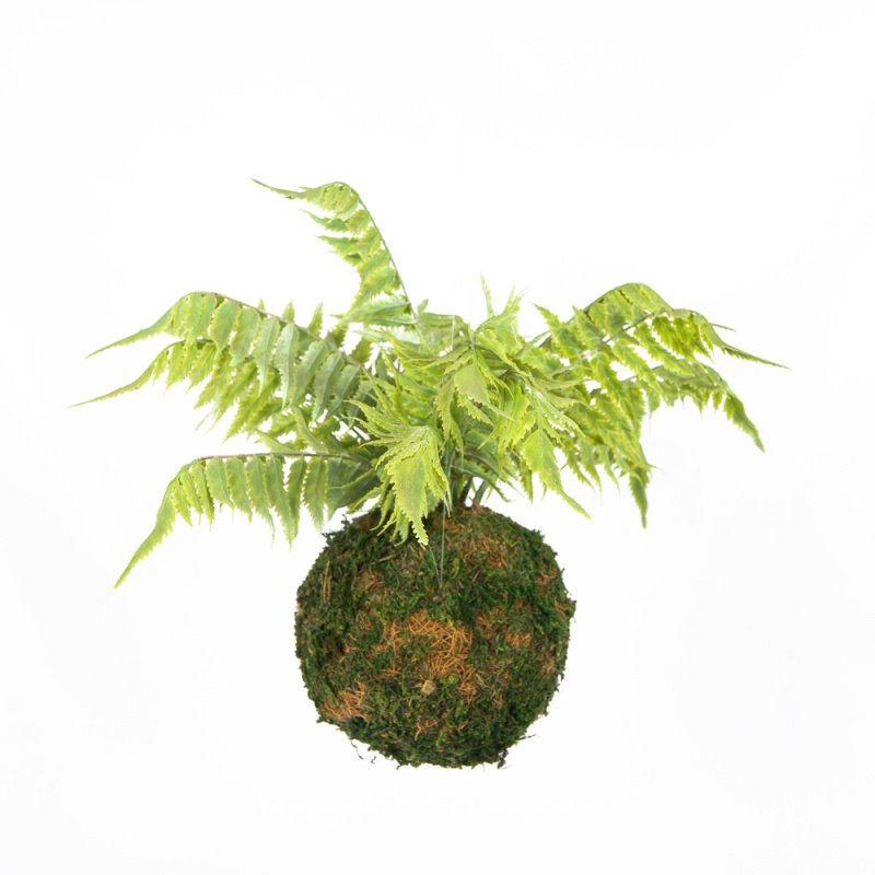 ККД35/211-2 Кокедама d-15 