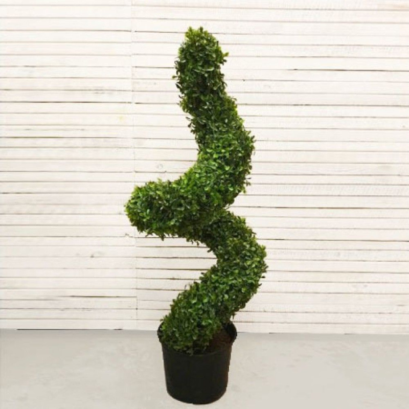 СКВ 80/95 Самшит-конус 80см