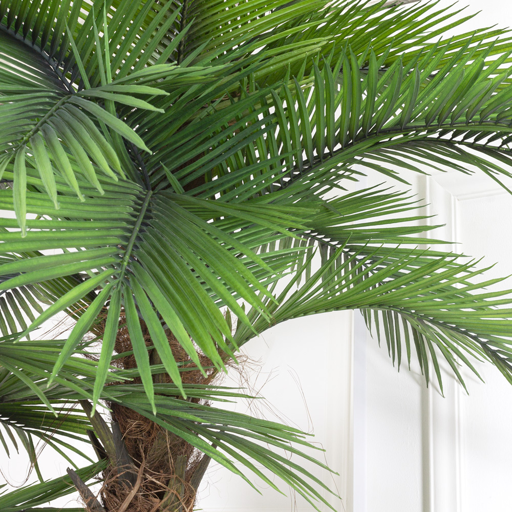 П270/2С/453(з.)(Х) Пальма искусственная финиковая h270см_2