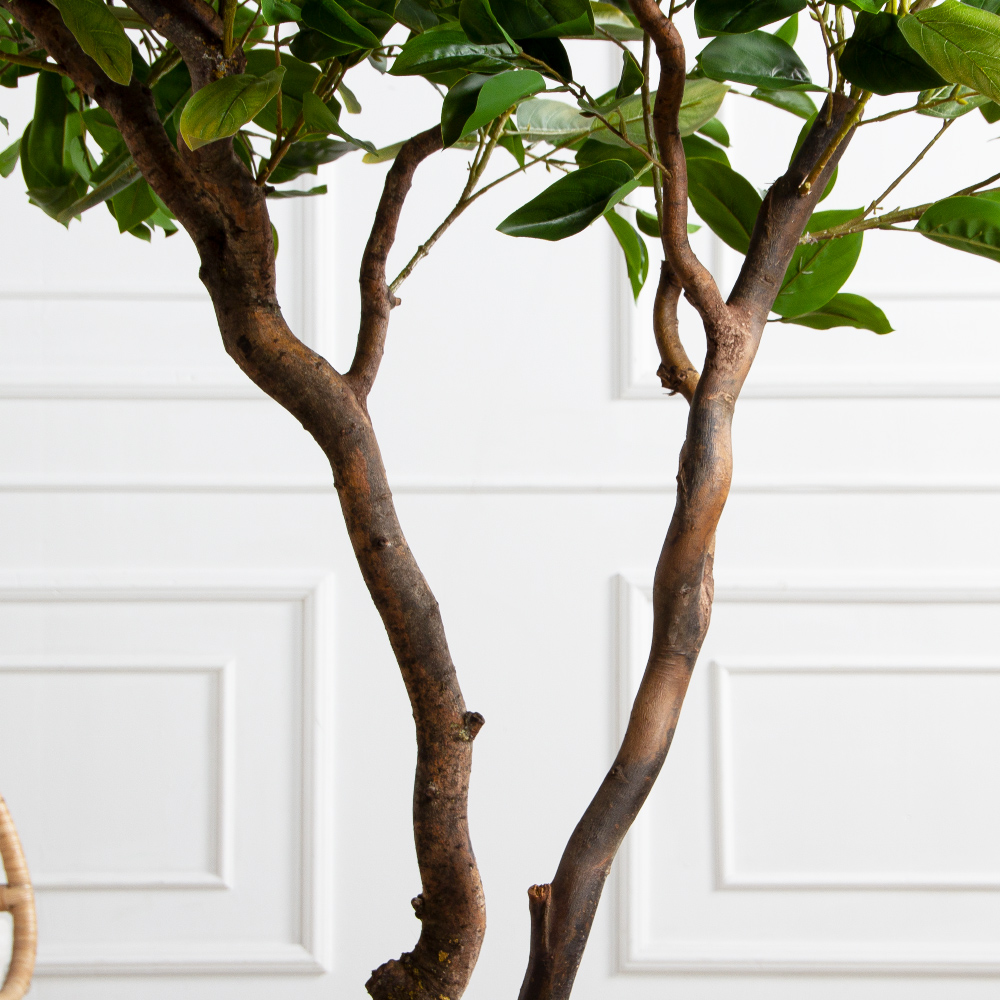 150/ВИТ/497(Пр)(F) Фикус искусственный h150см_4