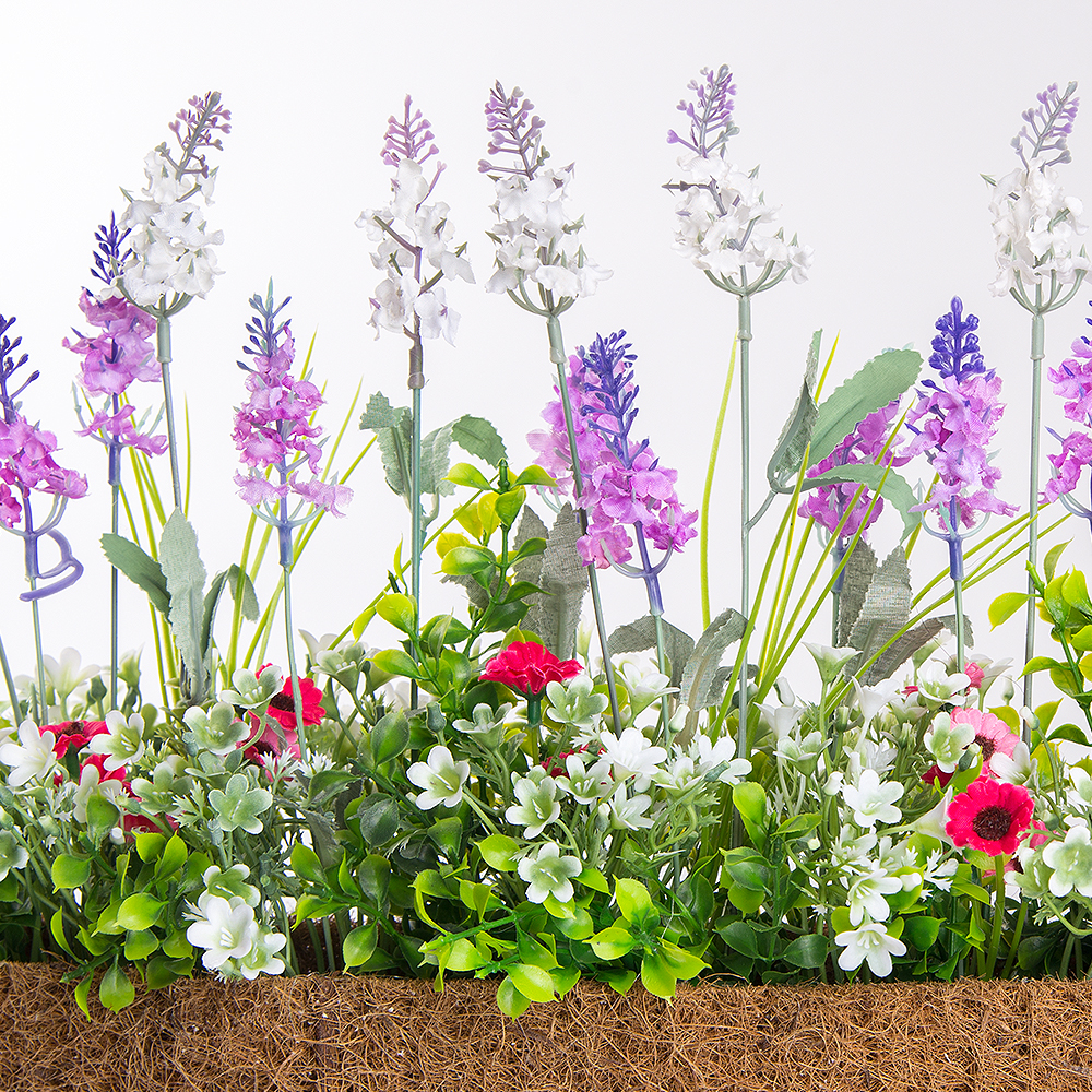 Б007-2/1 Бордюр Лаванда h17 см малиновая в кокосовом боксе 50*7*h-8 (малинов.)_3