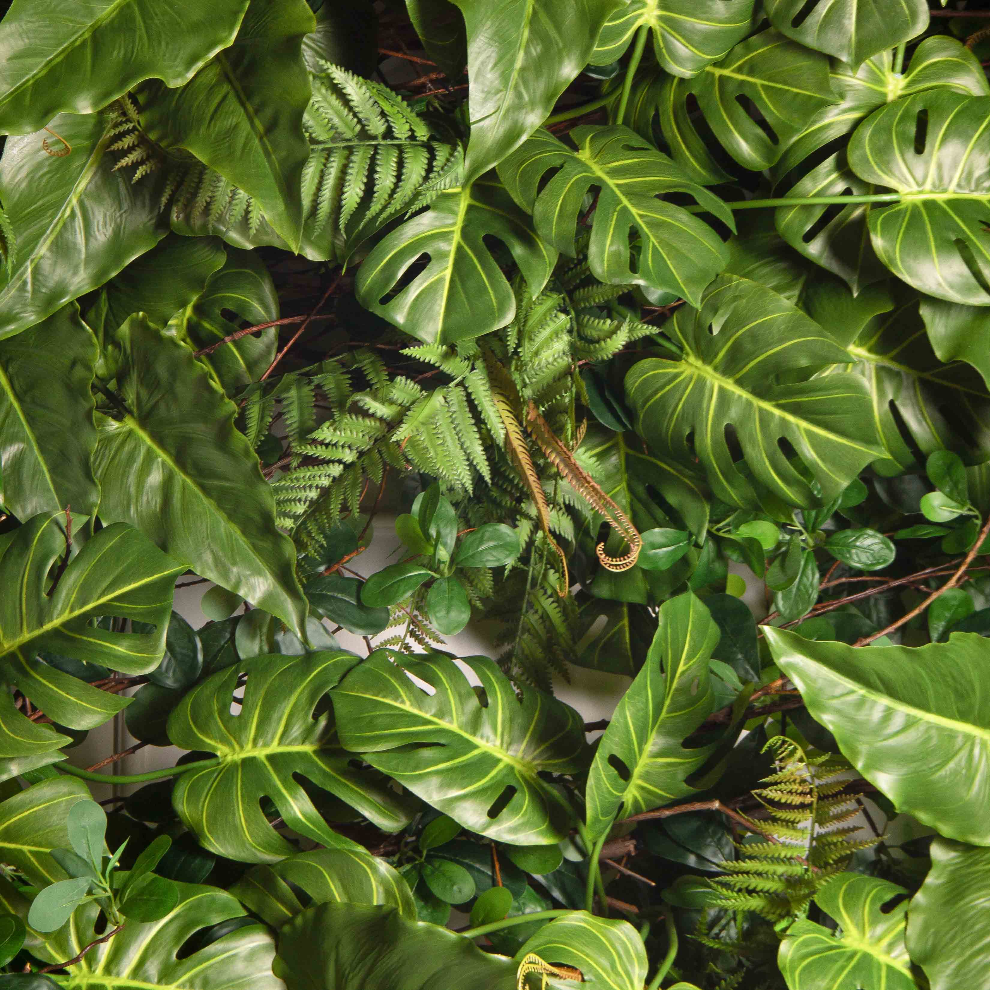 ДЛ167(з)(F) Декор входной группы тропический h360см (шир 200см)_8