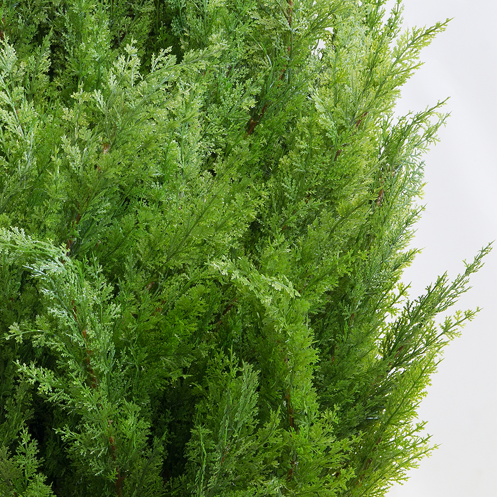 ККДД180/201(з.) Кокедама d40см Туя-конус 