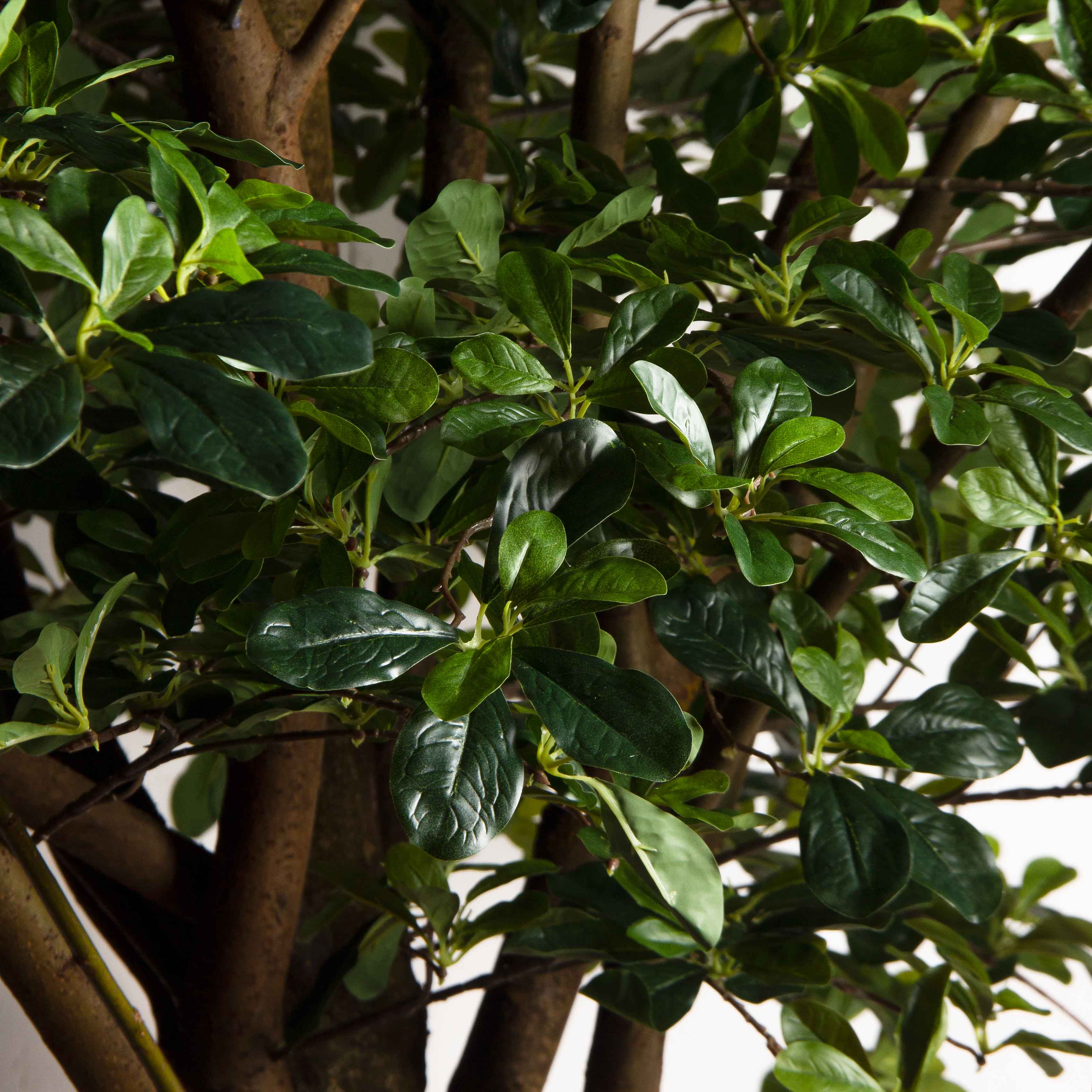 300/РН/84-2(з)(Пр)(F) Шеффлера искусственная h300см_7