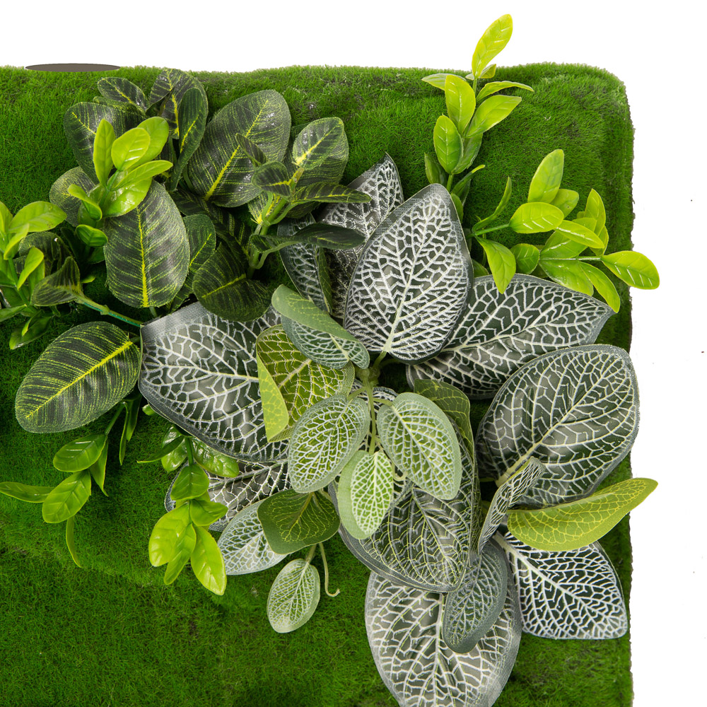 ФК03/4(з) Фитокартина с папоротником (70*h40)_2