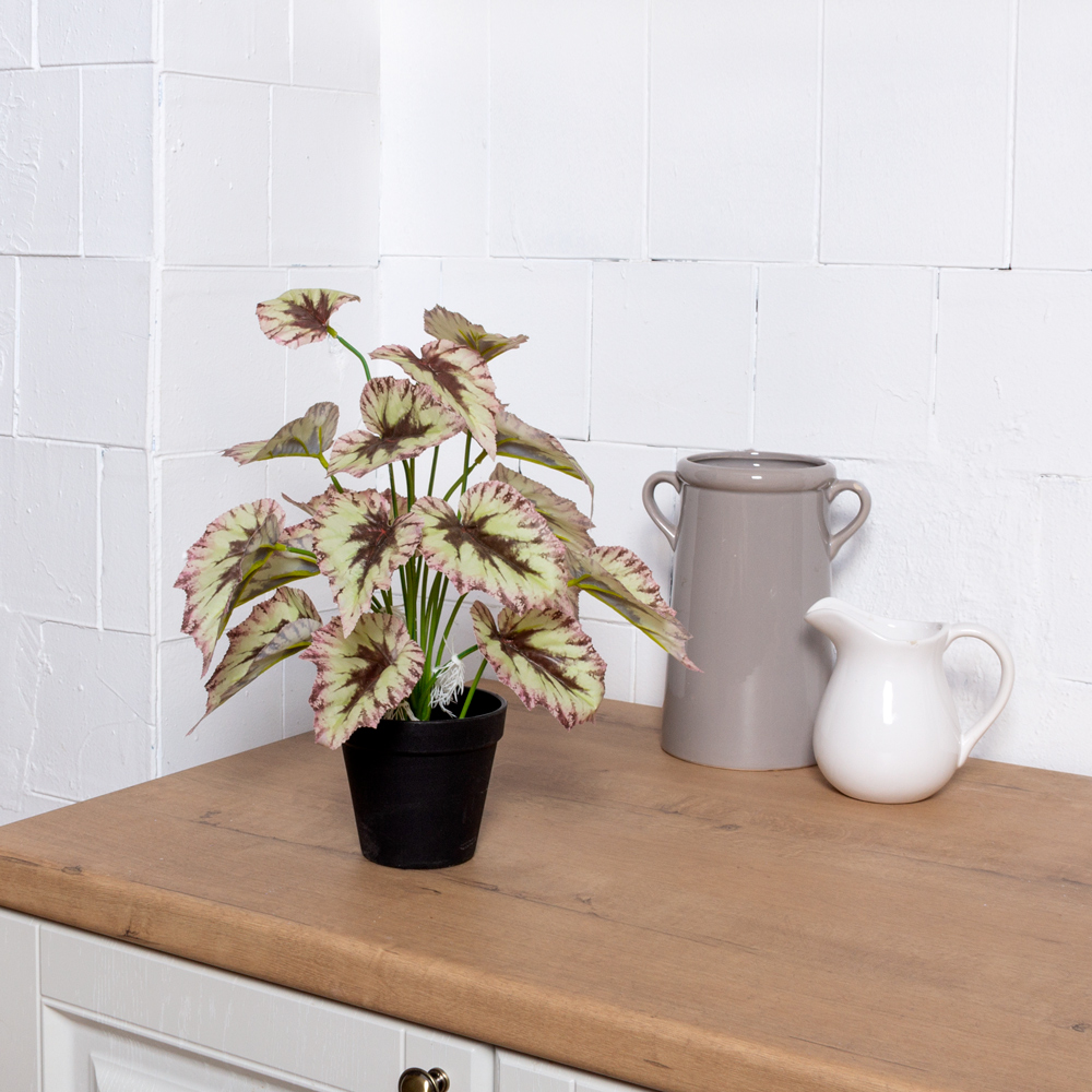 ЦС211-2(F) Бегония искусственная бело-бордовая_4