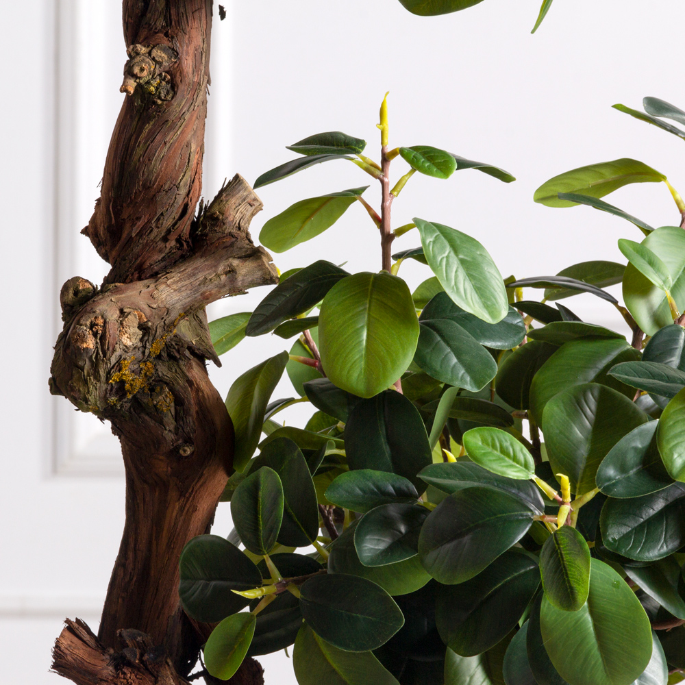 160/3К/ОС/Кор/527(Пр)(F) Фикус искусственный Грин Исланд, h160см_8