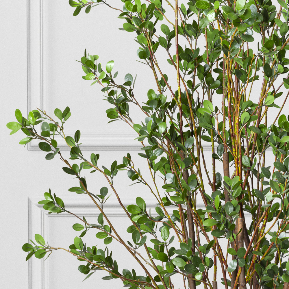 190/РН/200 Дерево с распускающимися листьями h190см_1