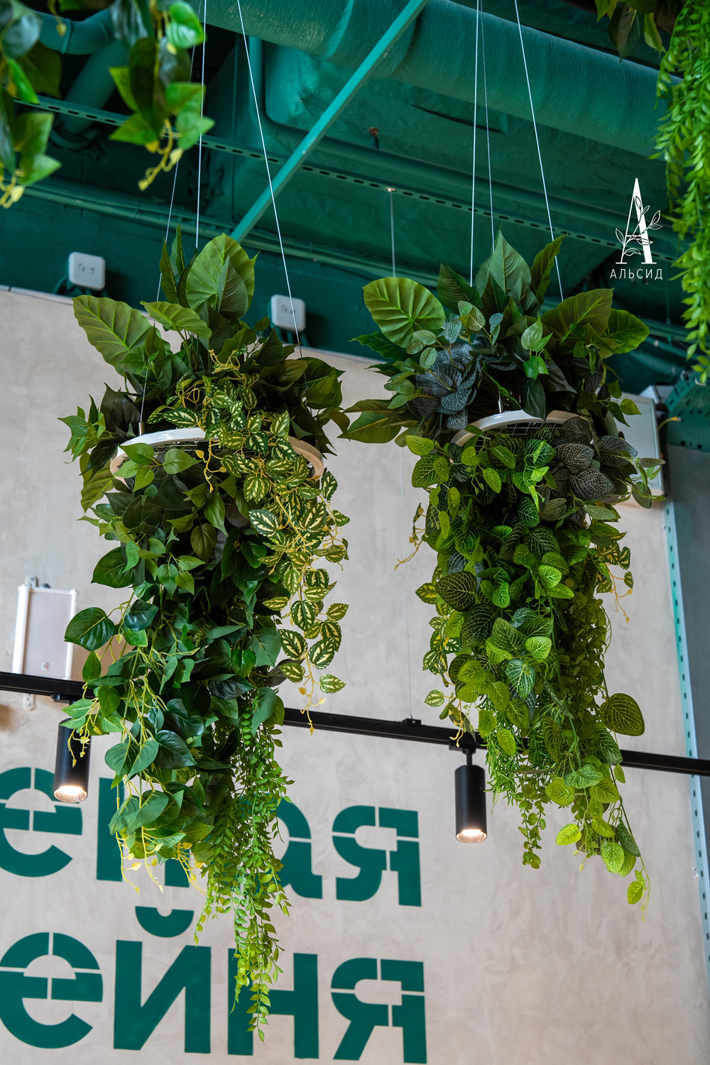 7143/0760-40/1 Филодендрон искусственный куст 12 частей h45см (латекс)_3