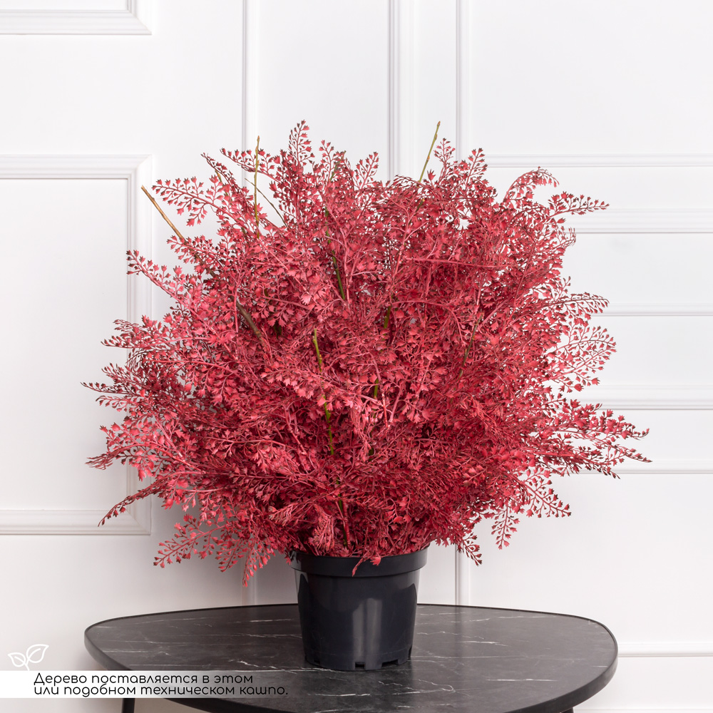 070/РН/488(з) Альбиция искусственная интерьерная h70см, бордовая_6