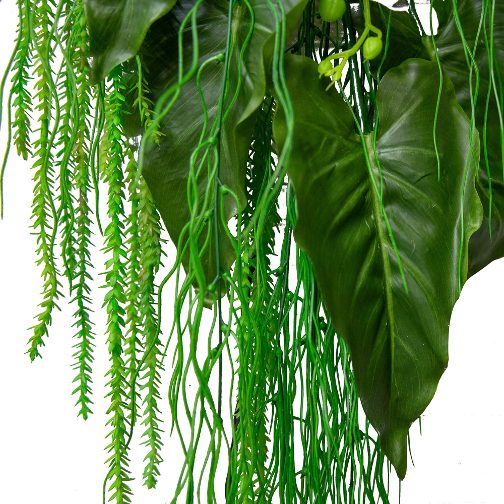 Фитопанно 04-1 с подсветкой 55*h120см_5