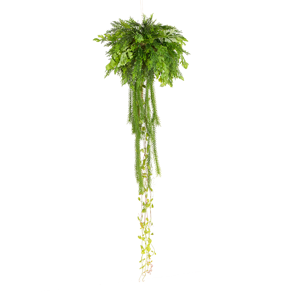 ККД851-301-3 (з.)