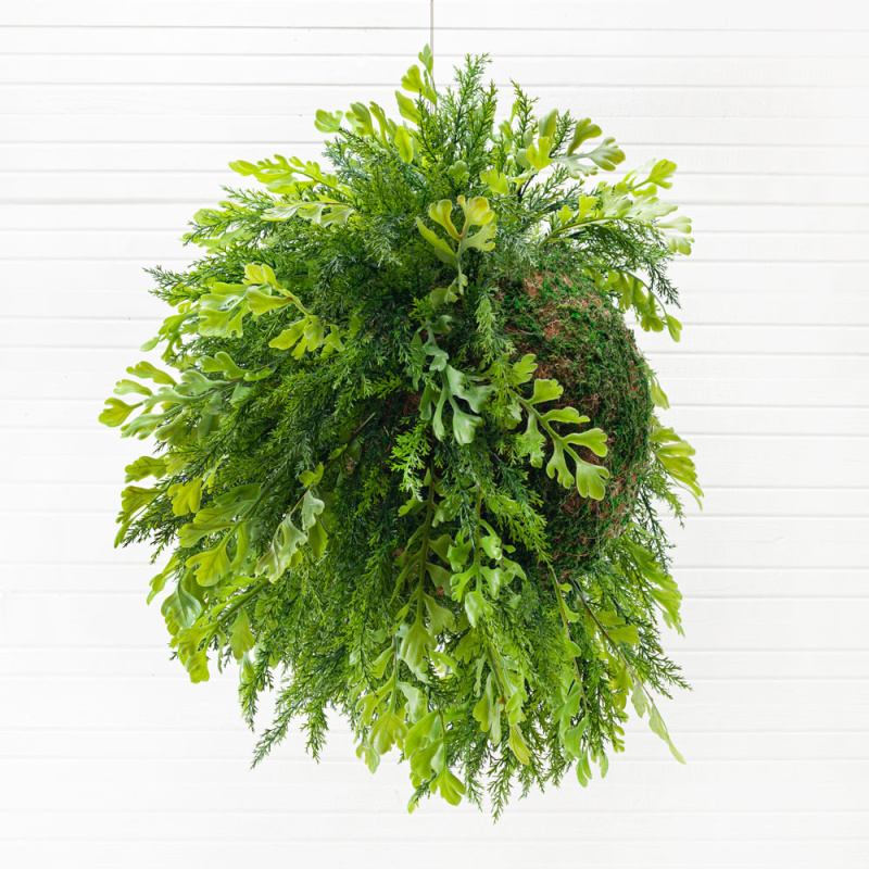 ККД85/301-1(з.) Кокедама d-30см 