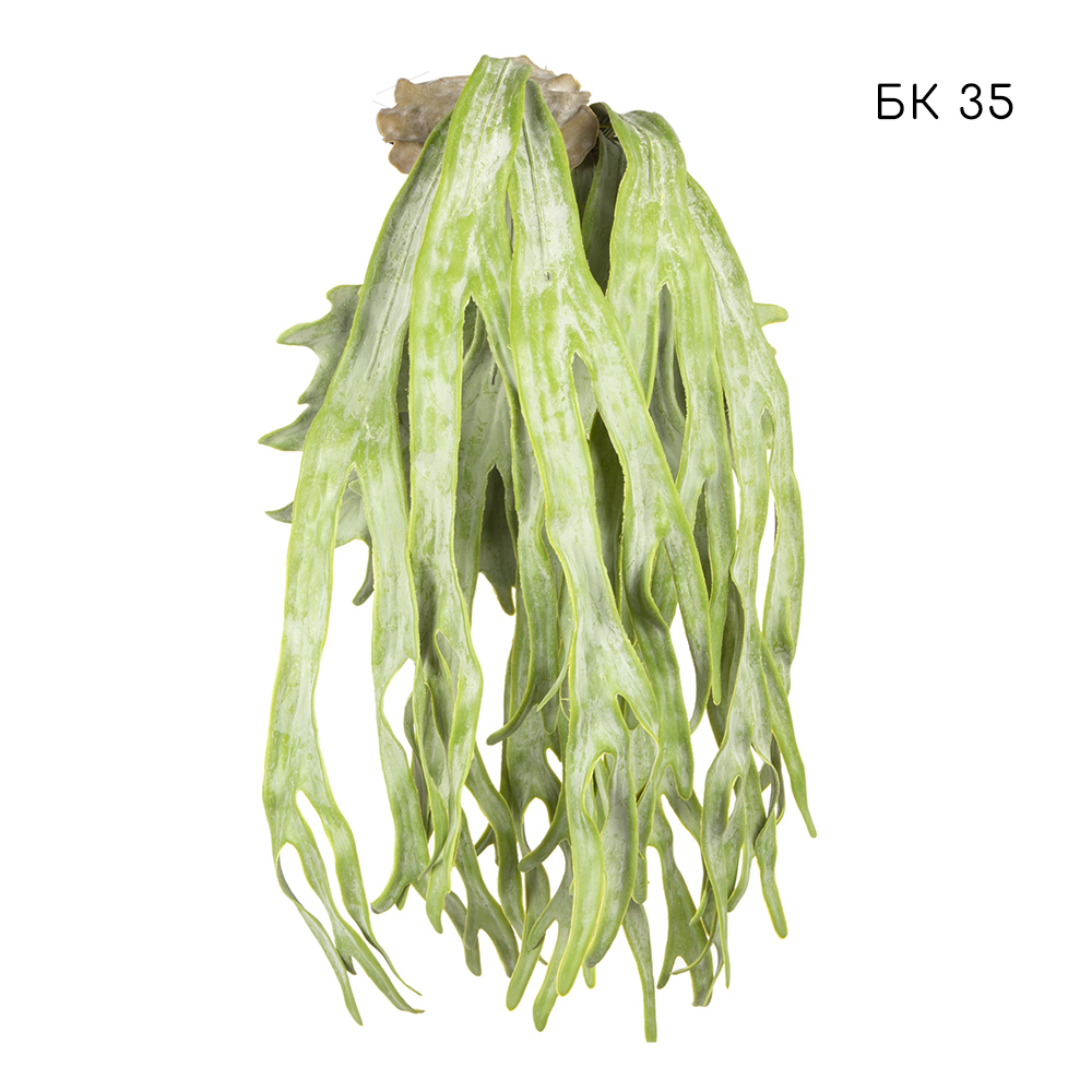 Фитостена 130 на сетке_143