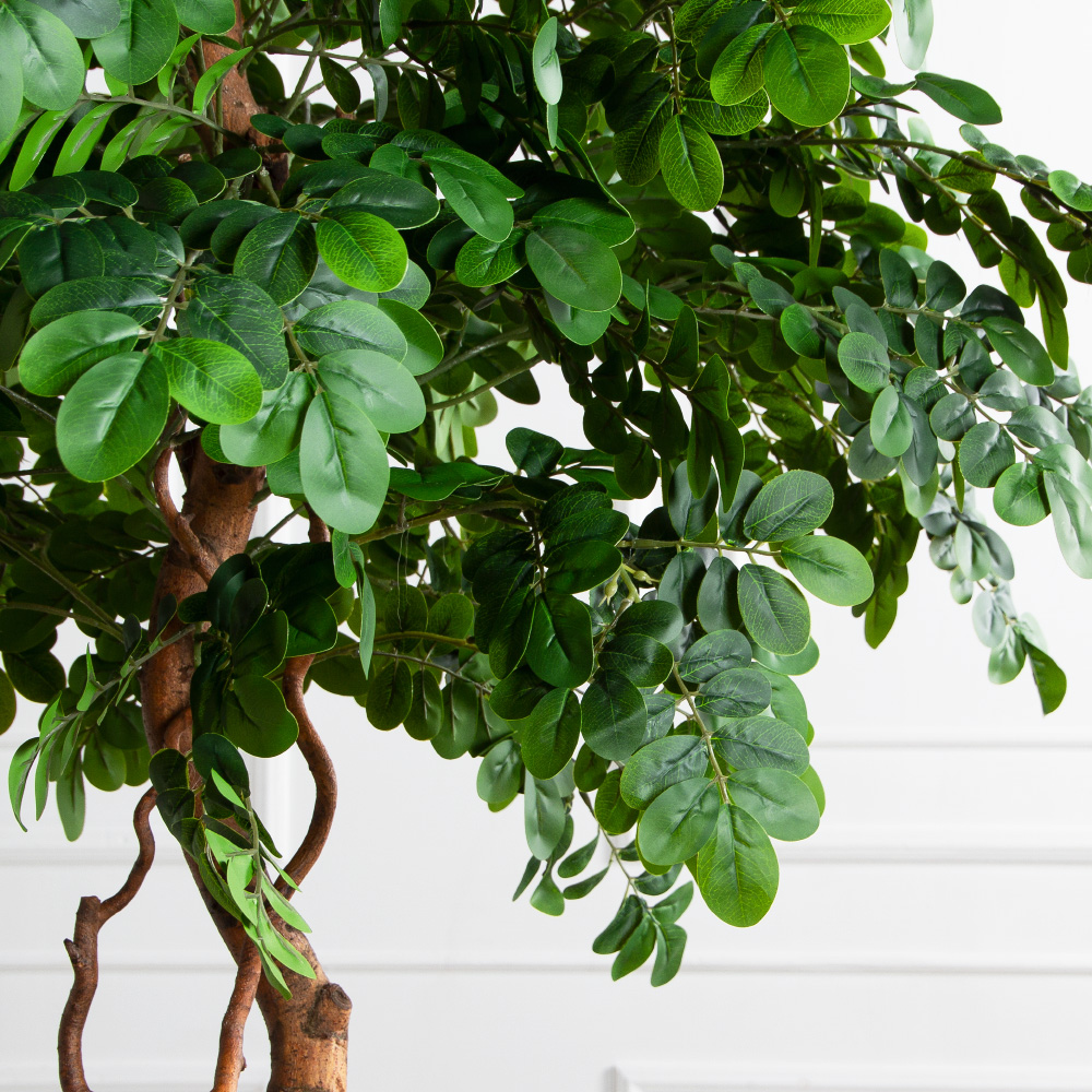 180/2К/ВИТ/702(Пр)(F) Софора японская искуственная h180см,(латекс)_6