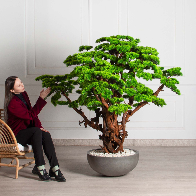 БС160/ОС/3000-1(Пр)(F) Бонсай искусственный Сосна h160см_1