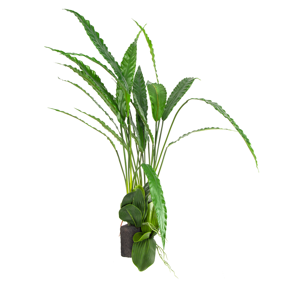 БК 21 Композиция с калатеей на блоке 15*h10_2