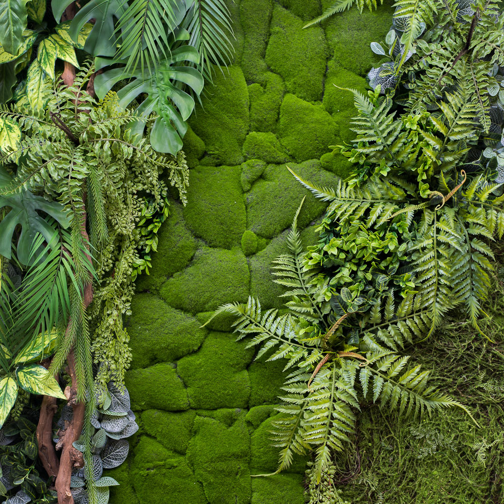 Фитостена 97(з.)_2