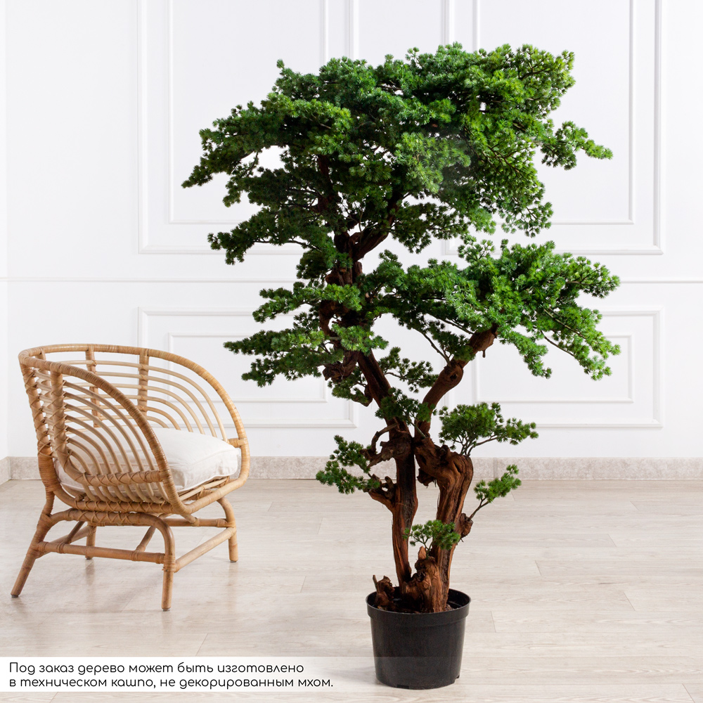 БС150/2К/ОС/427(Пр)(F) Бонсай искусственный Сосна h150см в кашпо со мхом d26см_3