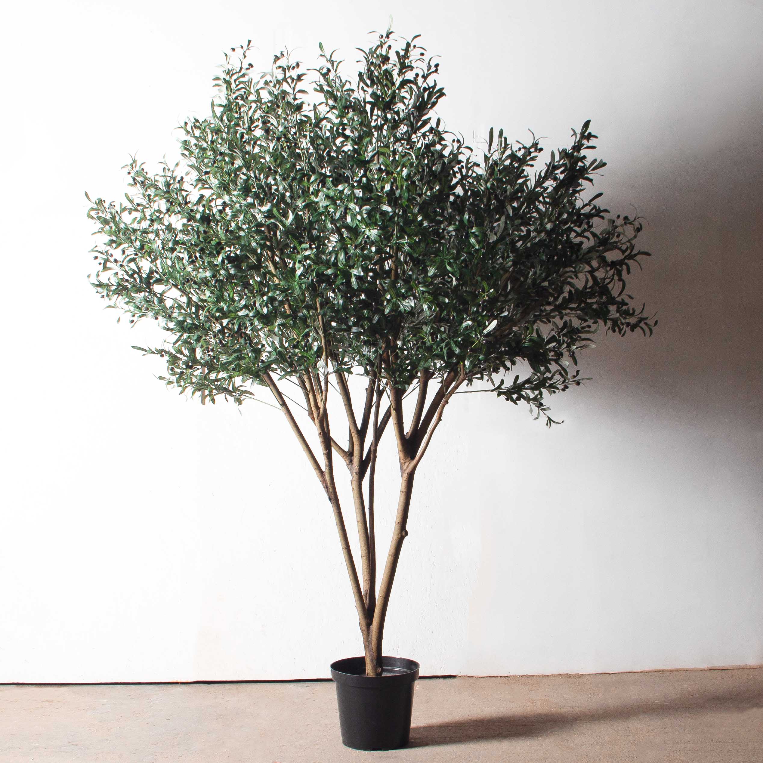 260/О/465(з)(Пр)(F) Оливковое дерево искусственное c плодами h260см_2