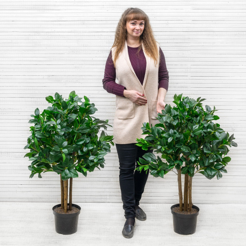 100/К/208-2(з) Куст рускуса (полусфера) 100см_3