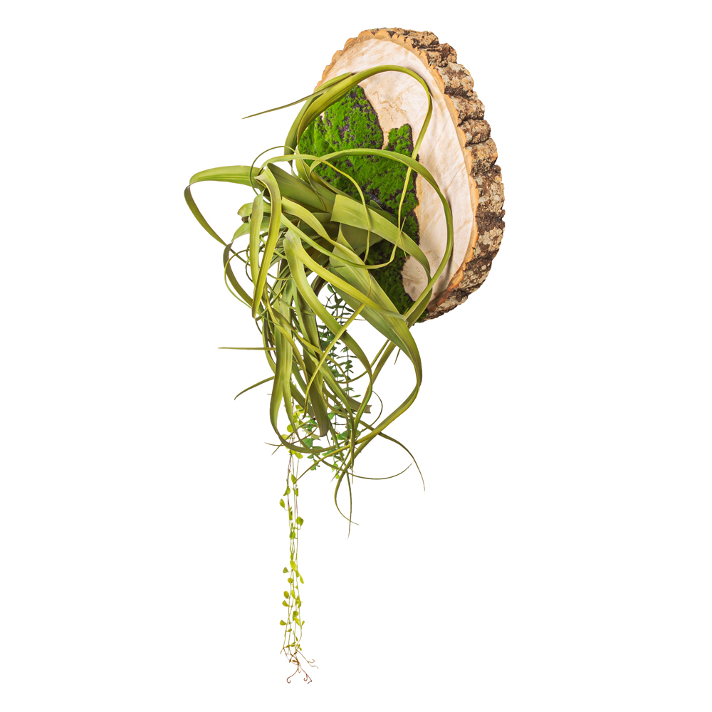 БК140/1 Композиция на березовом спиле d48-50см_1