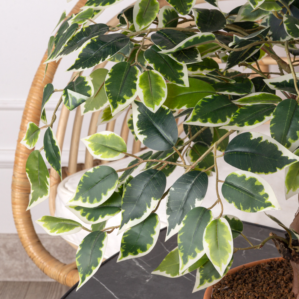 БЛ035/08-1(з) Бонсай искусственный Фикус (латекс) h35см_4