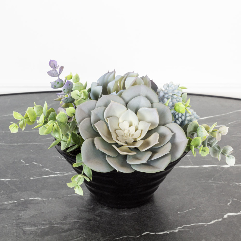 СКК012(МД) Комп.из суккулент.(х2) в инт.кашпо d17с