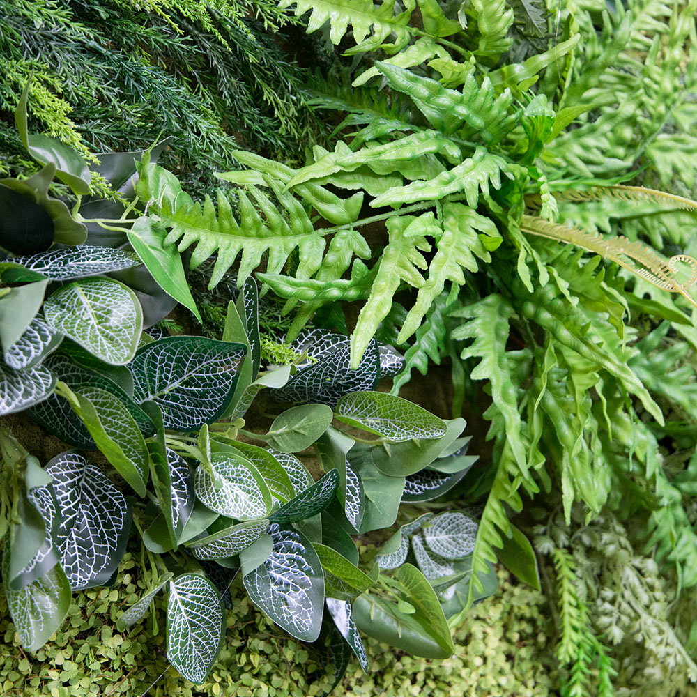 Фитостена 82-1_3