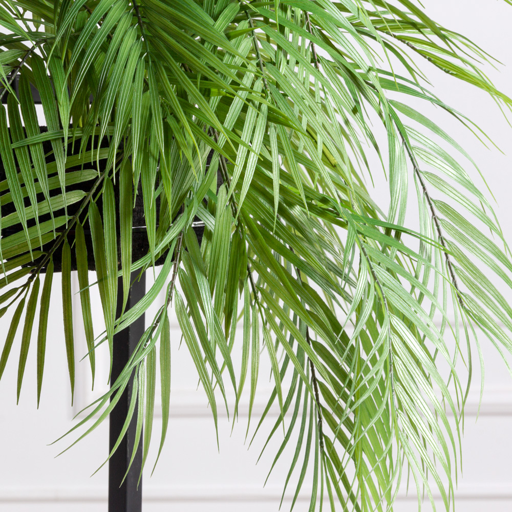 БК 37(F) Композиция с пальмой на блоке 15*h10см_2