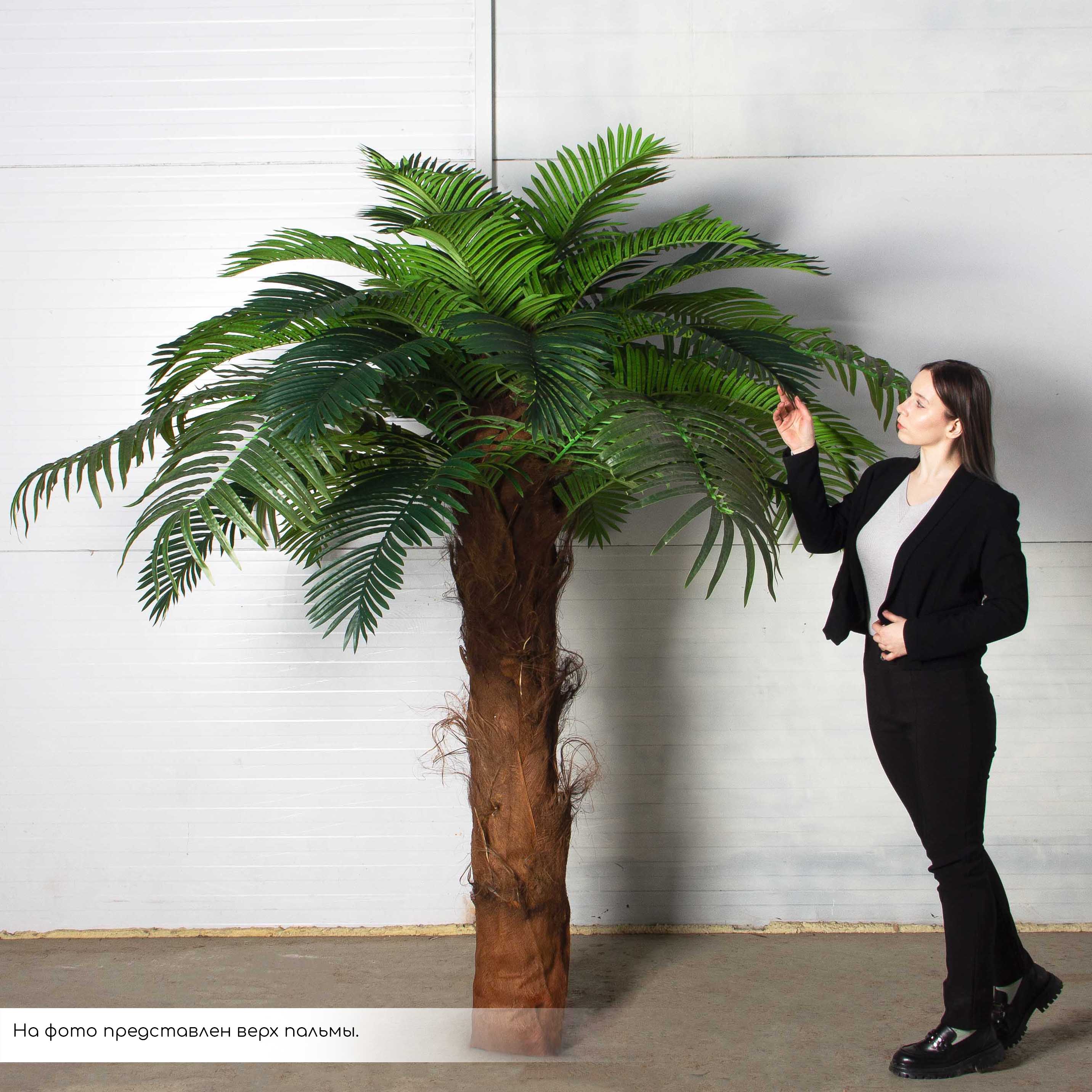 ПС450Разб/ТР/49СТ(Пр)(F) Пальма Арека искусственная h450см на мет.основании_5