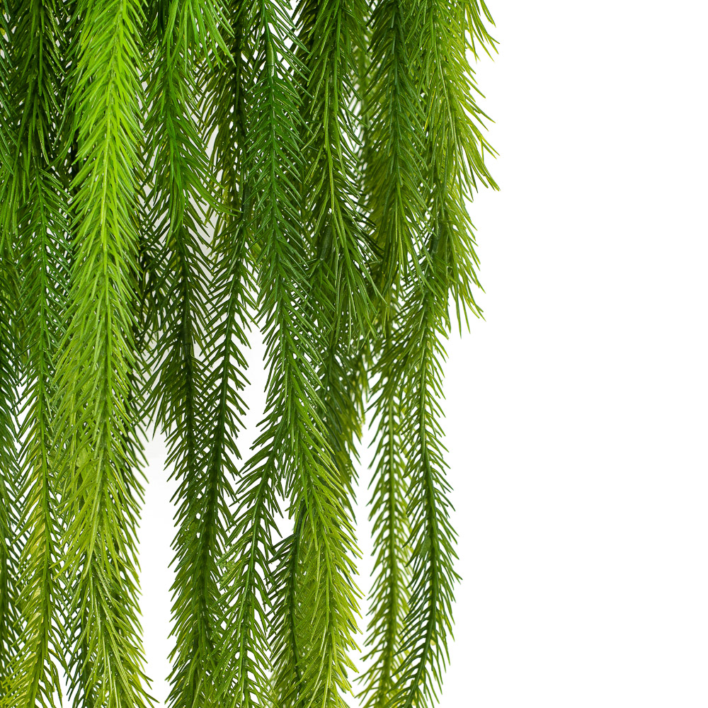 КС100 Мох плаун свисающий в кашпо_2