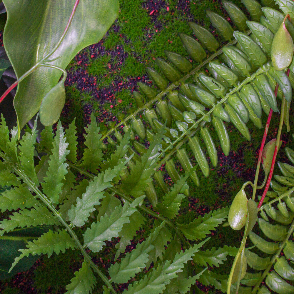 Фитостена 135_1