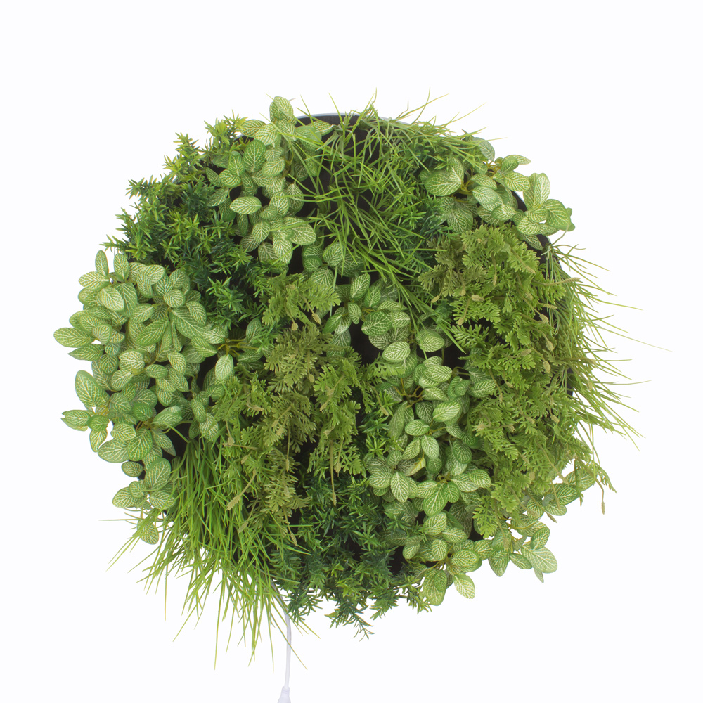 ФП05 Фитопанно искусственное с подсветкой d59см_2