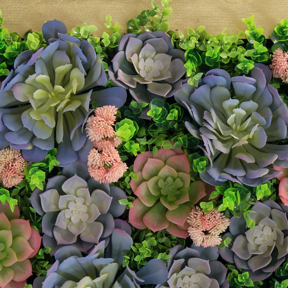 СКФ08(з.) Фитокартина с суккулентами в золотой раме 60*80_2