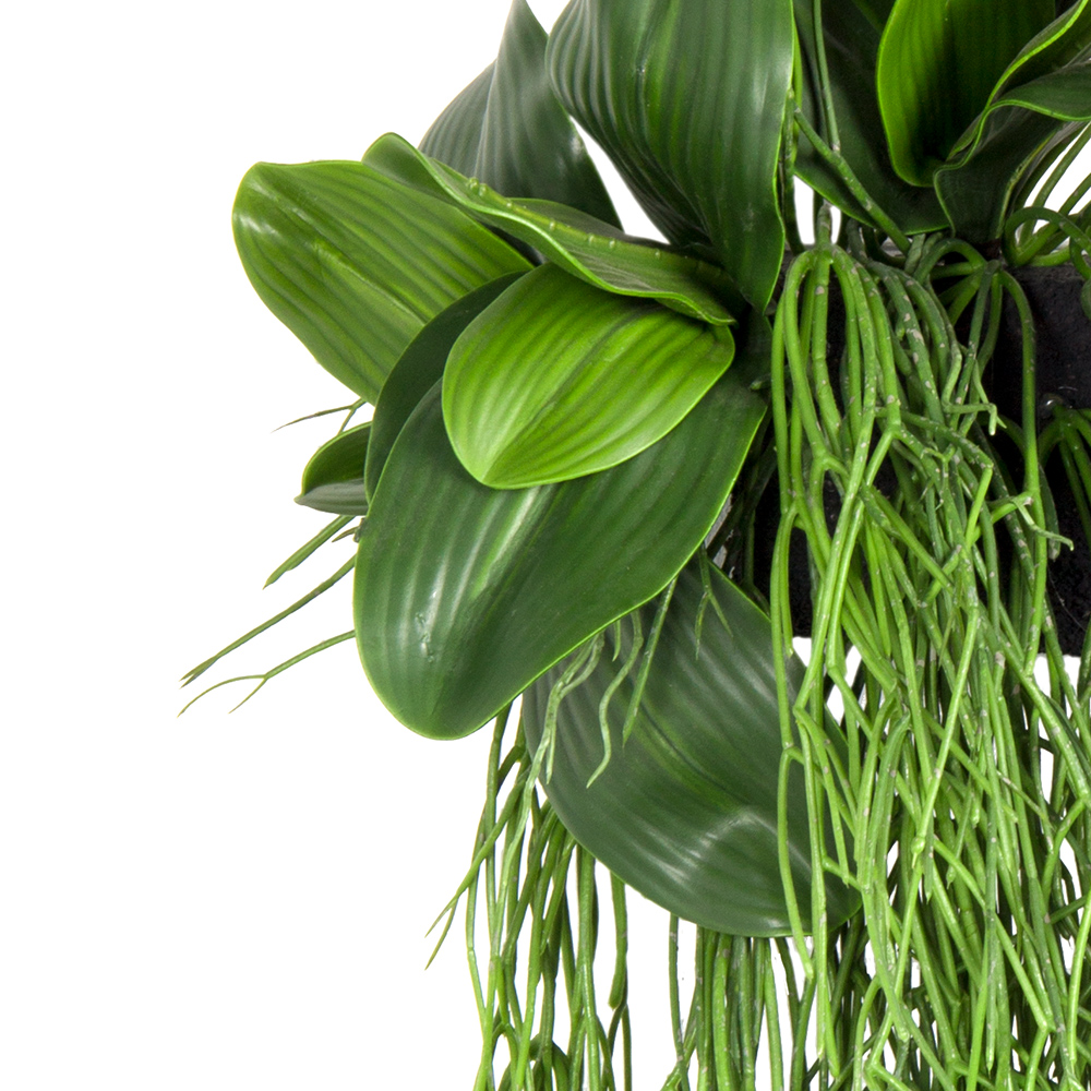 БК 07-1 Композиция с рипсалисом на блоке 15*h10_3