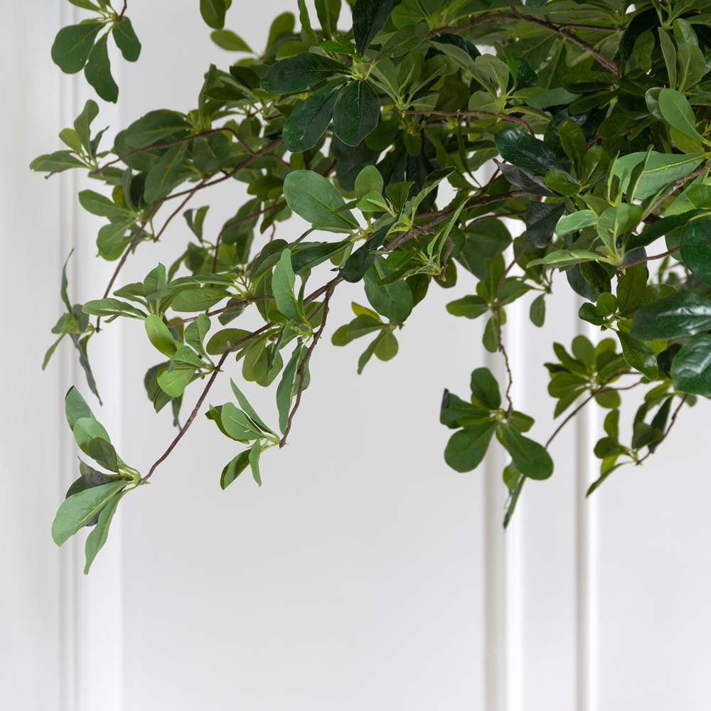 360МЕТст/ус/разб/Ш/84(F) Шеффлера искусственная шарообразная h360см, разборная_4