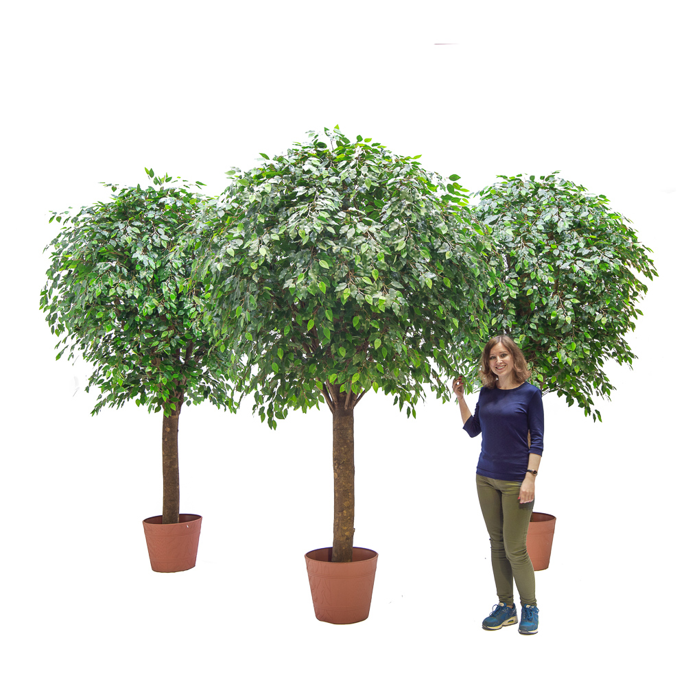 270/РН/34-2(з.)_1