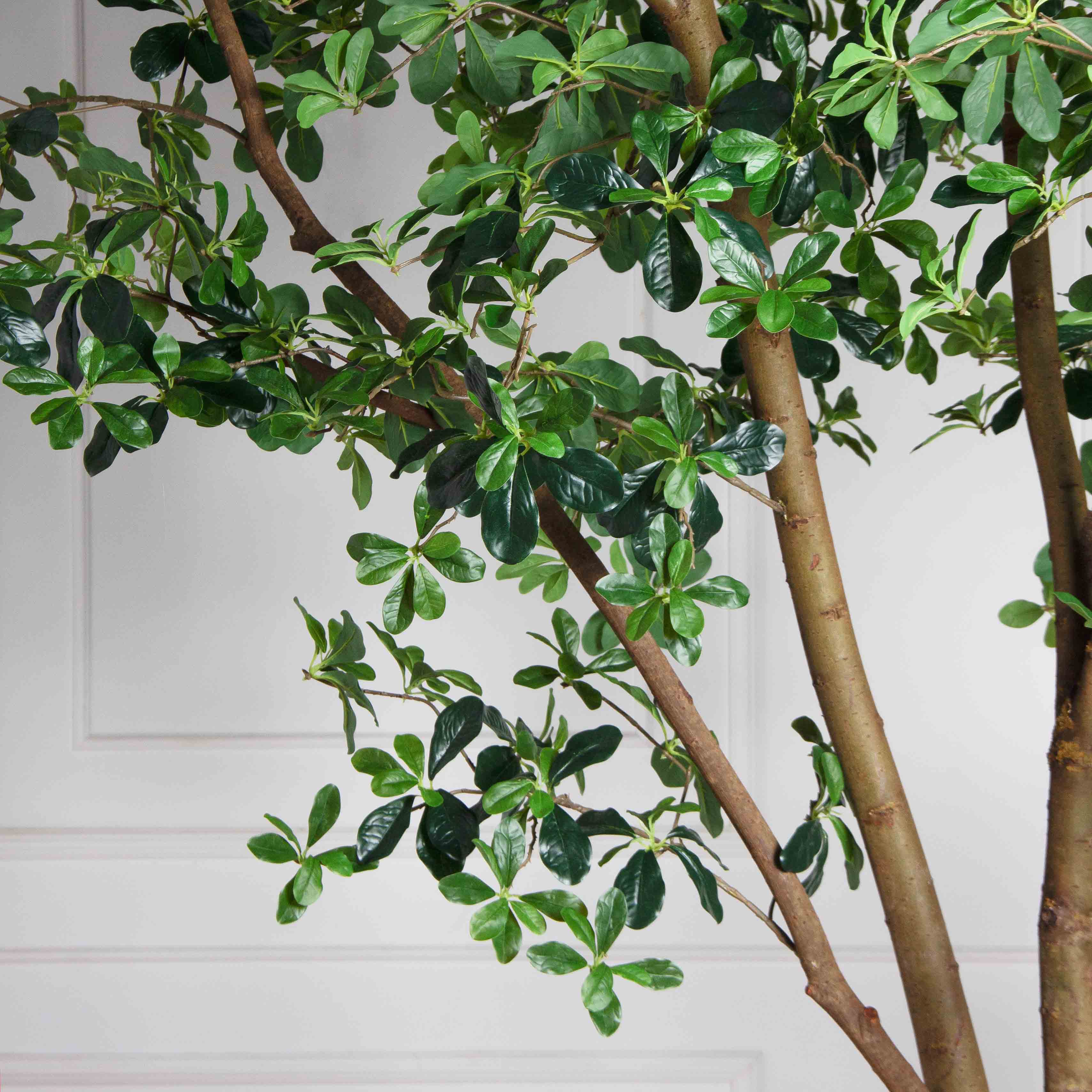 340/РН/84-1(з/УУ)(Пр)(F) Шеффлера искусственная h340см_6