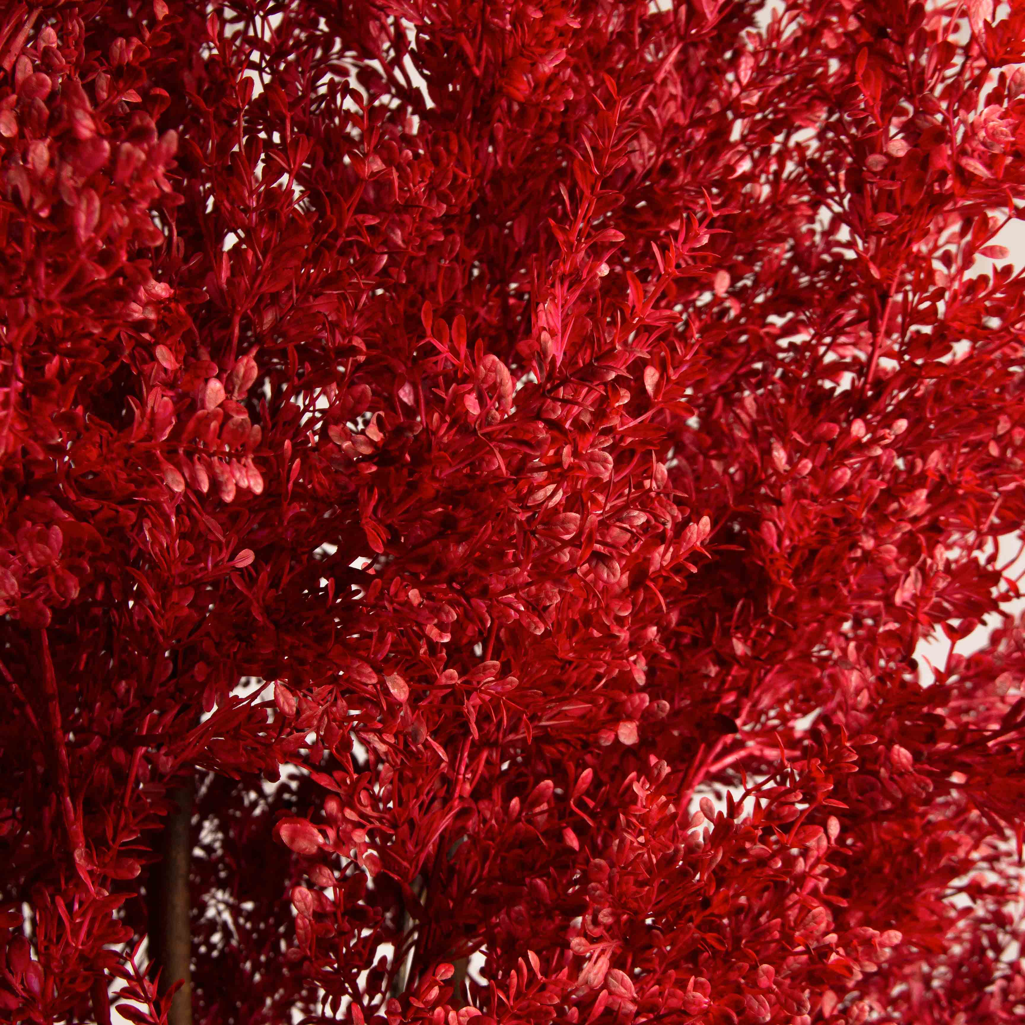 150/РН/536(з)(УУ)(Пр)(F) Дерево искусственное интерьерное h150см, бордовое_5