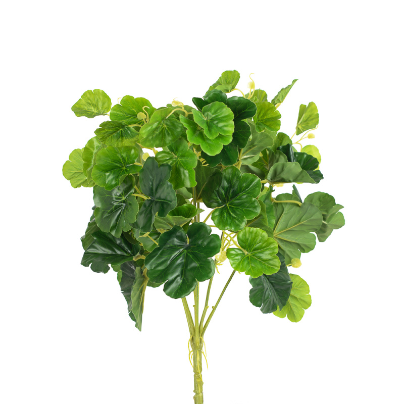 7143/0371-2 Пеларгония куст зелен (латекс)*7 h=45см (35+10)