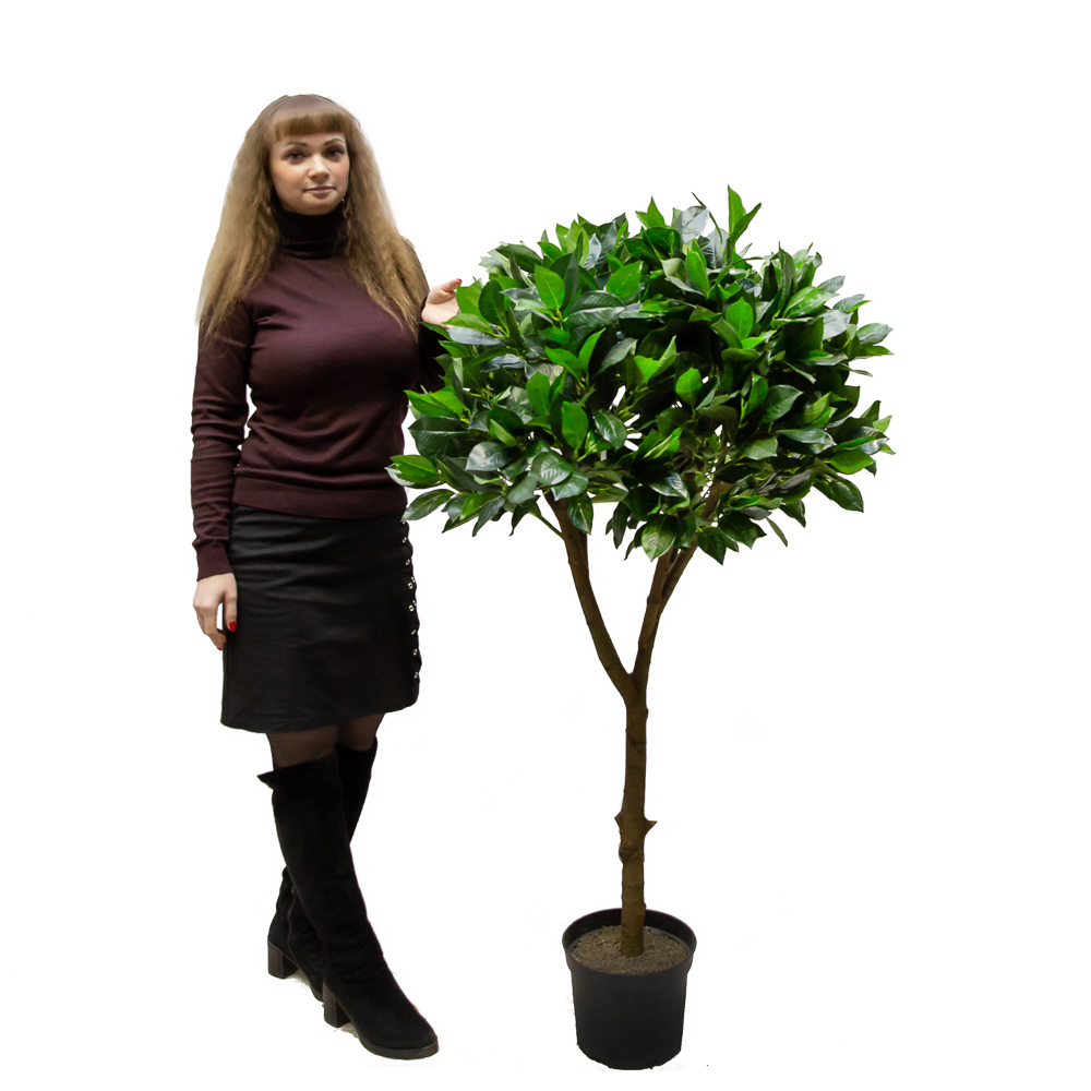 140/Ш/188 Лавр h140см (латекс)_3