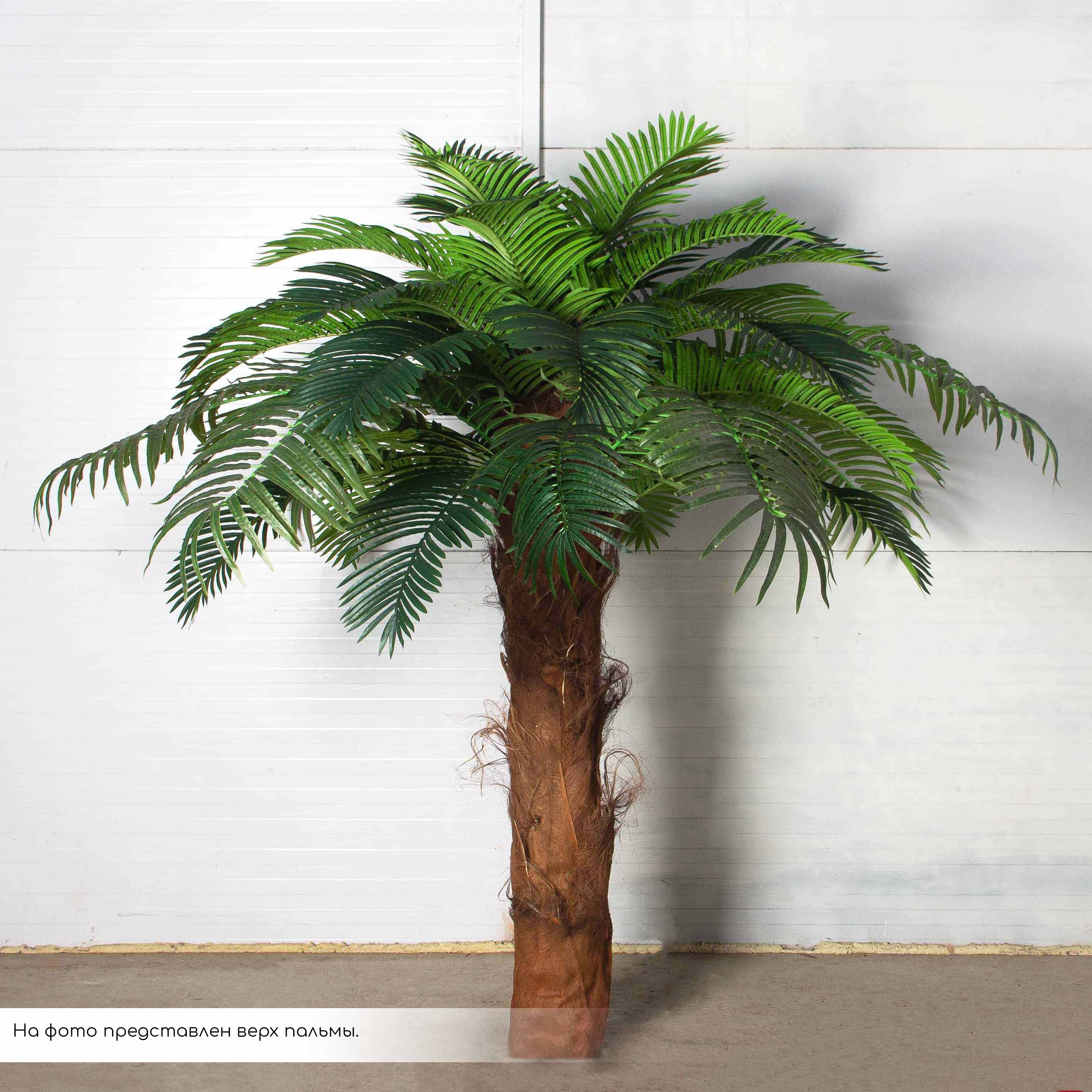 ПС450Разб/ТР/49СТ(Пр)(F) Пальма Арека искусственная h450см на мет.основании_6